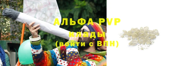 spice Осташков