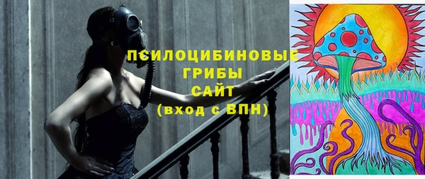 apvp Абинск
