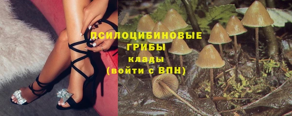 героин Абаза